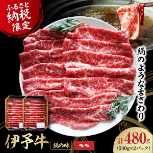 yӂ邳Ɣ[Łz  ɗ\u ̖ v ؂ 480gi 240g×2pbN j Fs/[AGAB002]    a Ya Ԑg uh  Zbg Hה ē FsY Y