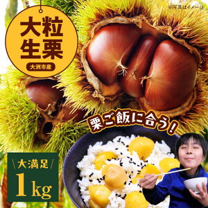 yӂ邳Ɣ[Łzys\zy9{珇z嗱 I 1kg Fs/_[AGAE009] I N  I I͂  ʕ t[c ӂ[ I s\  l