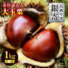 【ふるさと納税】生栗 【先行予約】【2026年9月下旬から順次発送】高級 生栗 銀寄（ 1kg ） 大粒 旬の味覚 秋の味覚 大洲市/あじさい農園[AGAE010] 栗 クリ くり 栗ご飯 栗ごはん くだもの 果物 フルーツ ふるーつ 生栗 先行予約 おすすめ 人気 お取り寄せ 送料無料