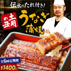 【ふるさと納税】【全6回定期便】 うなぎ 蒲焼き 冷蔵 真空パック 10尾セット（2尾×5箱）　愛媛県大洲市/有限会社 樽井旅館 鰻 うなぎ ひつまぶし 土用の丑の日 ウナギ[AGAH026]