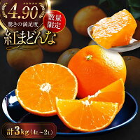 みかん 愛媛 紅マドンナ 化粧箱入 ミカン 蜜柑 オレンジ 柑橘 特産品 ...
