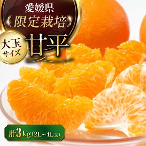 �y�ӂ邳�Ɣ[�Łz�y��s�\��z�y2026�N2����{���珇�������z �Õ� �� 3kg�i2�`4L 8�`12�ʁj��F�s/���Q�������_�Ƌ����g��[AGAO010] �݂��� �~�J�� ���� �Õ� ����؂� �ʕ� �������� �t���[�c ��