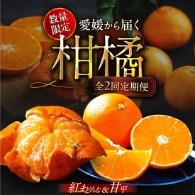 【ふるさと納税】【全2回定期便】【数量限定】紅まどんな 甘平 贅沢 定期便 各 3kg | 人気 おすすめ ランキング おいしい 甘い 大洲市/愛媛たいき農業協同組合[AGAO013] 30000 30000円 以上