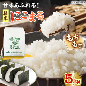 yӂ邳Ɣ[Łzy11{珇zɂ܂i  j 5kg Fs/Ys [AGAP005]     Ĕ5kg ɂ܂  ₳ VN QY FsY Yn