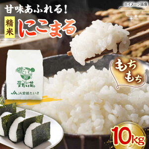 yӂ邳Ɣ[Łzy11{珇zɂ܂i  j 10kg Fs/Ys [AGAP006]     Ĕ5kg ɂ܂  ₳ VN QY FsY Yn