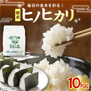 yӂ邳Ɣ[Łzāy11{珇zqmqJi  j10kg    10kg  ͂ ɂ Ђ̂Ђ H XgbN ~ QY Yn  lC 