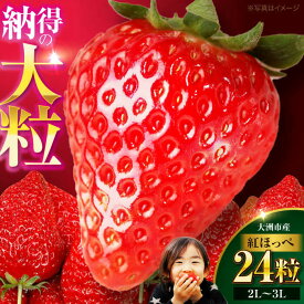 【ふるさと納税】いちご 【先行予約】【2027年1月上旬から順次発送】いちご 紅ほっぺ 24粒 | 人気 おすすめ ランキング おいしい 甘い 苺 果物 フルーツ 苺 イチゴ 大粒 高級 送料無料 デザート スイーツ 愛媛県産 大洲市/有限会社西山青果[AGAR001] 10000 10000円 以上
