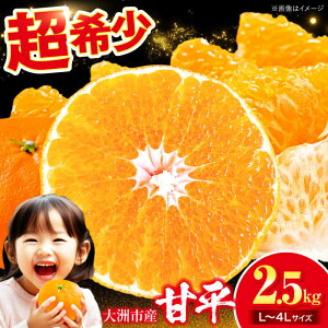 �y�ӂ邳�Ɣ[�Łz�y��s�\��z�y2�����{��菇�������z �Õ� 2.5kg ( L ���� 4L �T�C�Y���� ) | �l�C �������� �����L���O �������� �Â� �݂��� �ʕ� ��F�s/�L����А��R��[AGAR010] 10000 10000�~ 