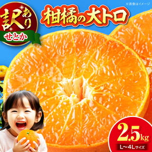 �y�ӂ邳�Ɣ[�Łz�y2�����{��菇�������z �󂠂� ���Ƃ� 2.5kg ( L ���� 4L �T�C�Y���� ) | �l�C �������� �����L���O �������� �Â� �݂��� ���k ��F�s/�L����А��R��[AGAR012] 10000 10000�~ ��