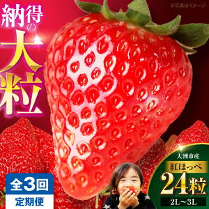 �y�ӂ邳�Ɣ[�Łz�������y��s�\��z�y�S3�����ցz������(�g�ق���)24�� | �l�C �������� �����L���O �������� �Â� � �C�`�S �嗱 ���� �������� �f�U�[�g �X�C�[�c �ʕ� �t���[�c ���Q��