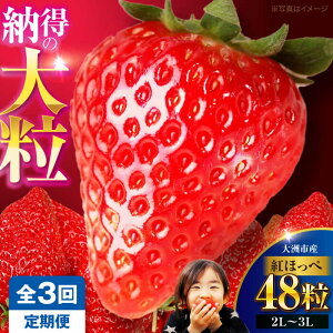 �y�ӂ邳�Ɣ[�Łz�������y��s�\��z�y�S3�����ցz������(�g�ق���)24��×2�� | �l�C �������� �����L���O �������� �Â� � �C�`�S �嗱 ���� �������� �f�U�[�g �X�C�[�c �ʕ� �t���[�c ��