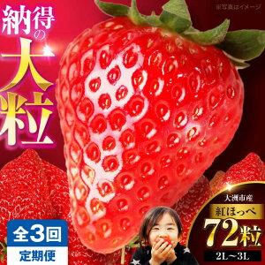 �y�ӂ邳�Ɣ[�Łz�������y��s�\��z�y�S3�����ցz������(�g�ق���)24��×3�� | �l�C �������� �����L���O �������� �Â� � �C�`�S �嗱 ���� �������� �f�U�[�g �X�C�[�c �ʕ� �t���[�c ��