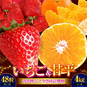 �y�ӂ邳�Ɣ[�Łz�������E�Õ� �t���Ăԁ�����ցy��s�\��z�y�S2�����ցz ������(�g�ق���)24��×2���E�Õ�4kg(L����4L�T�C�Y����) | ��s�\�� �t���[�c����� �ʕ������ ���Q����F�s/�L