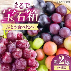 【ふるさと納税】【先行予約】【2026年8月中旬から9月中旬にかけて順次発送】ぶどう 4-5房 約2kg 詰め合わせ セット 愛媛県大洲市/有限会社西山青果　フルーツ 果物 ピオーネ[AGAR023] ぶどう 食べ比べ ニューピオーネ シャインマスカット クインニーナ ふじみのり