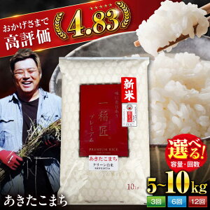 yӂ邳Ɣ[Łzāyߘa7NYVāzi5kg`10kgj 10kg 5kg   Y uh  ƒp Q Fs/H[ĎRq[AGAV003] s\     V QY F