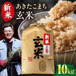 yӂ邳Ɣ[Łzyߘa7NYzyāz܂ 10kg@QFs/H[ĎRq  10kg ܂ [AGAV024]  ɂ ͂  aH R {H  Y H