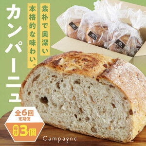 yӂ邳Ɣ[ŁzJp[j yS6ցzyⓀz3Zbg (v[EE܍)  lC  p lߍ킹 Hה VRy x[J[ n[hp QF