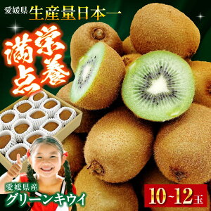 yӂ邳Ɣ[Łzys\zy2026N1{珇zQY O[LEC 10ʁ`12ʓ | lC  LO  Â  L[C kiwi wC[h Fs/