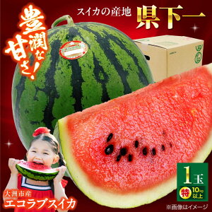 yӂ邳Ɣ[Łzys\zy2026N5{珇zQY GRuXCJ 1 QFs/ЃtW AOt[Y[AGBA017] XCJ  Z  ʕ t[c V