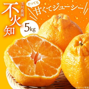 yӂ邳Ɣ[Łzys\zy2026N3{珇zsm 5kg | lC  LO  Â ʕ t[c ݂ ~J Fs/ʐ_[AGBC003] 10000 10000~ ȏ