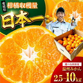 【ふるさと納税】みかん【先行予約】【選べる容量】温州みかん 2.5～10kg （2S～2L混合サイズ） 大洲市/玉川農園[AGBC005] 先行予約 みかん 蜜柑 温州みかん 果物 くだもの フルーツ 愛媛県産 大洲市産 産地直送 おすすめ 人気 お取り寄せ 送料無料 贈答 ギフト