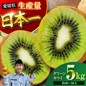 yӂ邳Ɣ[Łzys\zy11{菇zz O[ LEC 5kg i4050ʁj Fs/ʐ_[AGBC007] LEC LECt[c ʕ  t[c QY FsY Y