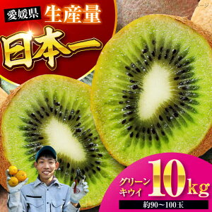 yӂ邳Ɣ[Łzys\zy11{菇zz O[LEC 10kg i90100ʁj Fs/ʐ_[AGBC008] LEC LECt[c ʕ  t[c QY FsY Y