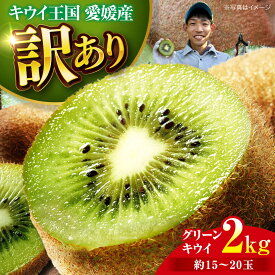 【ふるさと納税】キウイ 【先行予約】【2026年11月中旬から順次発送】【訳あり】 グリーンキウイ 2kg （約15玉から20玉） 栄養たっぷり！ 国産 ビタミンC デザート キウイ キウイフルーツ 果物 くだもの フルーツ 愛媛県産 大洲市産 おすすめ 人気大洲市/玉川農園[AGBC011]