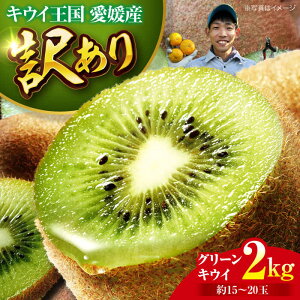 yӂ邳Ɣ[Łzys\zy11{珇zy󂠂z O[LEC 2kg i15ʂ20ʁj h{ՂIFs/ʐ_[AGBC011] s\ LEC LECt[c ʕ 