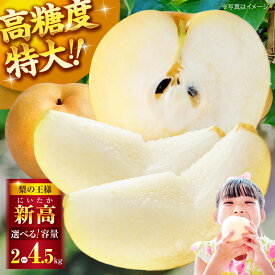 【ふるさと納税】梨 【先行予約】【2026年10月上旬から順次発送】【選べる容量】「梨の王様」特大新高 梨2kg （4個から6個入り）or 4.5kg（6個から8個入り） | ランキング おいしい 甘い ナシ 果物 くだもの 家庭用 国産 大洲市/幸野観光なし園[AGBD001] 15000円 以上