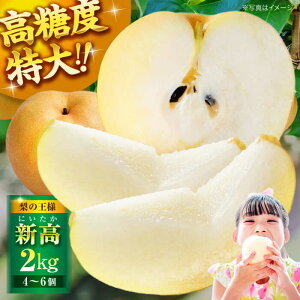 yӂ邳Ɣ[Łzys\zy10{珇zủlvV 2kgi46j | lC  LO  Â Fs/KόȂ[AGBD001] 10000 10000~ 