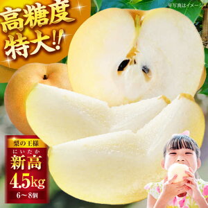 yӂ邳Ɣ[Łzys\zy10{珇zủlvV 4.5kgi68j Fs/KόȂ[AGBD002] s\ iV  Ȃ V ʕ  t[c 