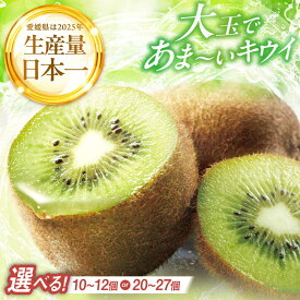 【ふるさと納税】【先行予約】【選べる容量】【2026年12月中旬から2027年2月上旬にかけて順次発送】 キウイフルーツ （10個〜12個入り）or（20個〜27個入り） 送料無料 国産 愛媛県産 家庭用 旬 大洲市/幸野観光なし園[AGBD004] 大洲市産 おすすめ 人気