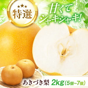 yӂ邳Ɣ[Łzys\zy9{珇z I Â 2kgi57jQFs/KόȂ[AGBD008] s\ iV  Ȃ V ʕ  t[c Q