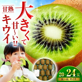 【ふるさと納税】キウイフルーツ【先行予約】【12月中旬頃より順次発送】甘熟 キウイ フルーツ 20 から 24玉（ 3L から 4L サイズ） 大洲市/沢井青果[AGBN001] キウイ 果物 くだもの フルーツ 愛媛県産 大洲市産 産地直送 おすすめ 人気 お取り寄せ 送料無料 贈答 ギフト