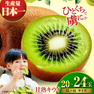 yӂ邳Ɣ[Łzys\zy2026N1{菇zÏn LEC t[c 20  24ʁi 3L  4L TCYj Fs/[AGBN001] LEC ʕ  t[c QY Fs