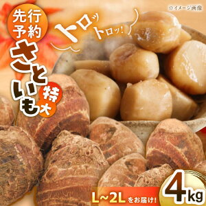 yӂ邳Ɣ[Łzy9{菇zgg Ƃ 4kg i L  2L TCYj Fs/[AGBN003] s\  TgC Ƃ   𐆂  ₳ VN 