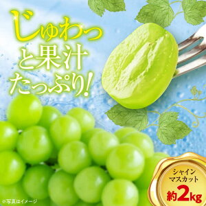 yӂ邳Ɣ[Łzys\zy9{菇zƒp VC}XJbg 2kgi3`5[j Fs/ [AGBN006] Ԃǂ uhE  ʕ  t[c QY FsY 