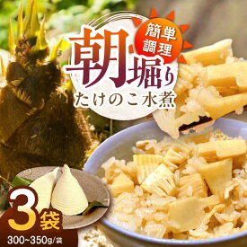 【ふるさと納税】【先行予約】【2026年4月中旬から順次配送】たけのこ 朝堀りたけのこの水煮（1袋300から350g）3袋セット 大洲市/沢井青果有限会社[AGBN011] たけのこ 筍 タケノコ 水煮 野菜 やさい 新鮮野菜 産地直送 おすすめ 人気 煮物 筑前煮 炊き込みご飯