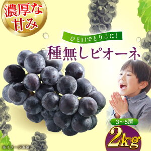 yӂ邳Ɣ[Łzys\zy8{菇z햳 sI[l 2kg i3`5[j Fs/[AGBN014] Ԃǂ uhE  ʕ  t[c QY FsY Yn 