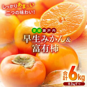 yӂ邳Ɣ[Łzys\zy11{菇z݂ xL` e3kg lZbg Fs/[AGBN019] `  JL ʕ  t[c QY FsY Yn 