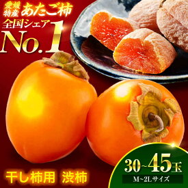 【ふるさと納税】渋柿【2026年11月上旬より順次発送】 干し柿用 渋柿 あたご柿 10kg (Mから2L 約30玉から45玉) 大洲市/沢井青果[AGBN022] 干し柿 ほしがき 柿 かき 果物 くだもの フルーツ 渋柿 渋がき 愛媛県産 大洲市産 産地直送 おすすめ お取り寄せ 送料無料 贈答 ギフト