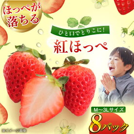 【ふるさと納税】いちご【先行予約】【1月中旬より順次発送】いちご 紅ほっぺ 2kg （8パック） | 人気 おすすめ ランキング おいしい 甘い 苺 イチゴ べにほっぺ 果物 フルーツ スイーツ デザート お取り寄せ おやつ ケーキ用 大洲市/沢井青果[AGBN027] 20000 20000円