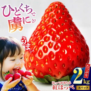 yӂ邳Ɣ[Łzys\zy2026N1{菇z gق 2kg i8pbNj | lC  LO  Â Fs/[AGBN027] 20000 20000~