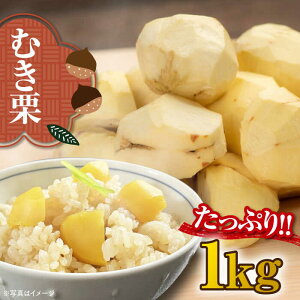 yӂ邳Ɣ[Łzy9{菇zLI 1.0kgi^pbNj Fs/[AGBN034] I N  I I͂  ʕ t[c ӂ[ I s\  lC 