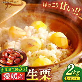 【ふるさと納税】栗【先行予約】【2026年9月上旬より順次発送】生栗 2kg（L〜2Lサイズ） クリ くり 栗ご飯 栗ごはん スイーツ デザート モンブラン 甘露煮 くだもの 果物 フルーツ おすすめ 人気 お取り寄せ 贈答 ギフト 大洲市/沢井青果[AGBN043]