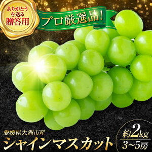 yӂ邳Ɣ[Łzys\zy8{菇zypzVC}XJbg 2kg i3`5[j Fs/ʁmAGBN044] Ԃǂ uhE  ʕ  t[c QY F