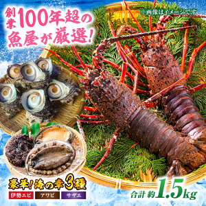 yӂ邳Ɣ[Łz VR  3 ZbgI( CZGr  300g/Ar  200g /TUG  1kg ) | lC  LO  CZGr Fs/VR _ [AGBP005] 50000 50000~ ȉ