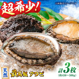 【ふるさと納税】鮑 天然活きアワビ 3から4枚セット 瀬戸内海産 | 人気 おすすめ ランキング おいしい アワビ あわび 鮑 バター焼き 刺身 刺し身 ソテー 酒の肴 高級 食材 魚介セット 海鮮 BBQ おつまみ 新鮮 魚介類大洲市/天然活魚 濱 屋[AGBP007] 40000 40000円 以上