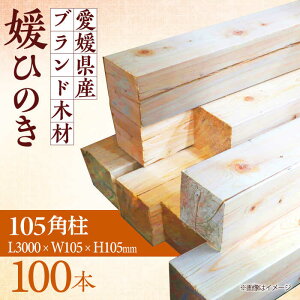 yӂ邳Ɣ[ŁzQ̃G[g؍ށIQЂ̂ 105p100{Zbgyz\GAFsEBijz Fs/lދg[AGBS004] Ђ̂ p ؍ p